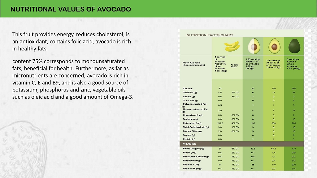 Avocado Aguacate Palta page 03